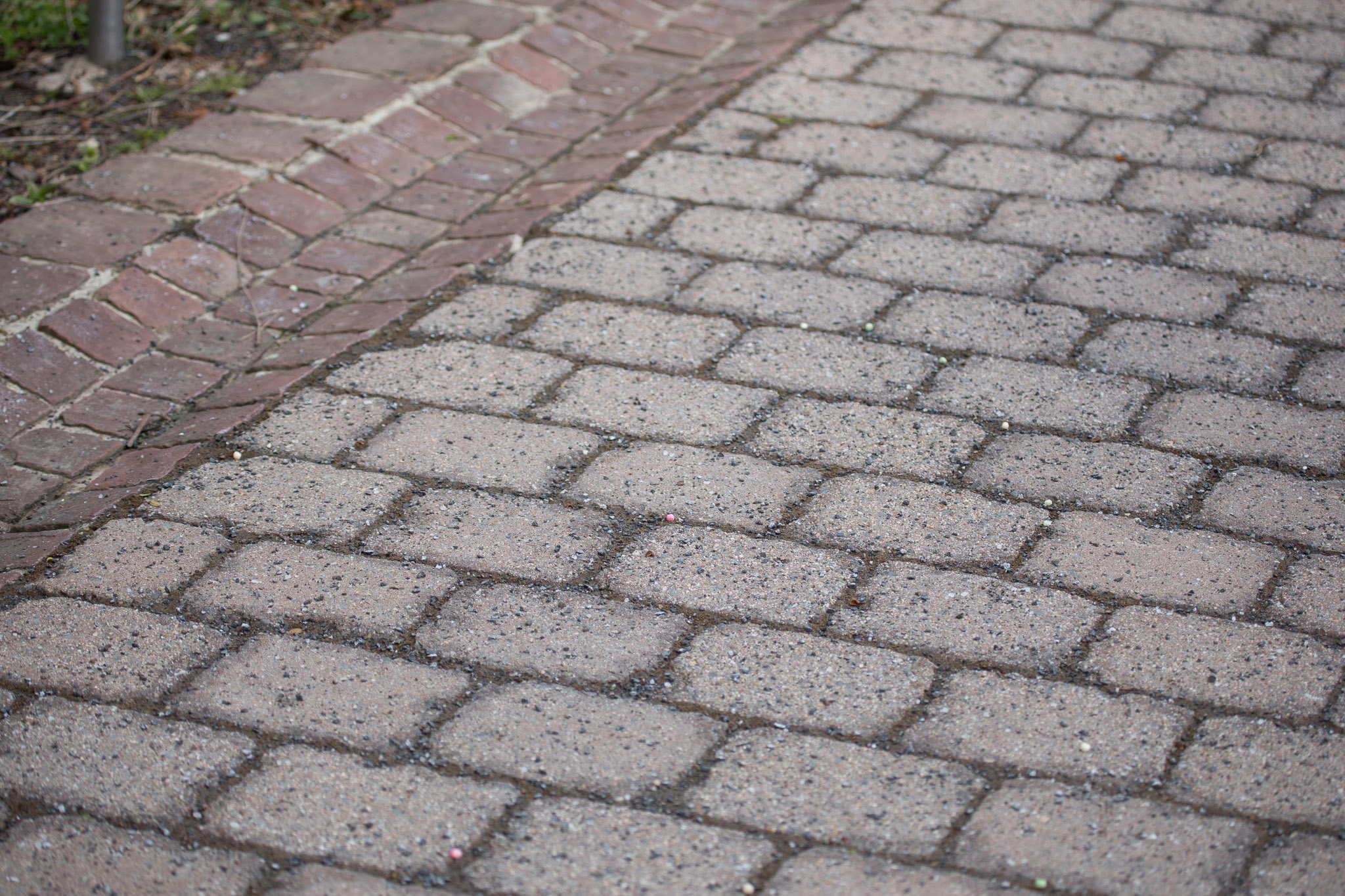 20220409141814 RD4 6370